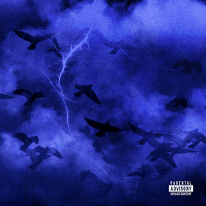 五月综合激情婷婷六月色窝
