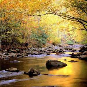 五月综合激情婷婷六月色窝
